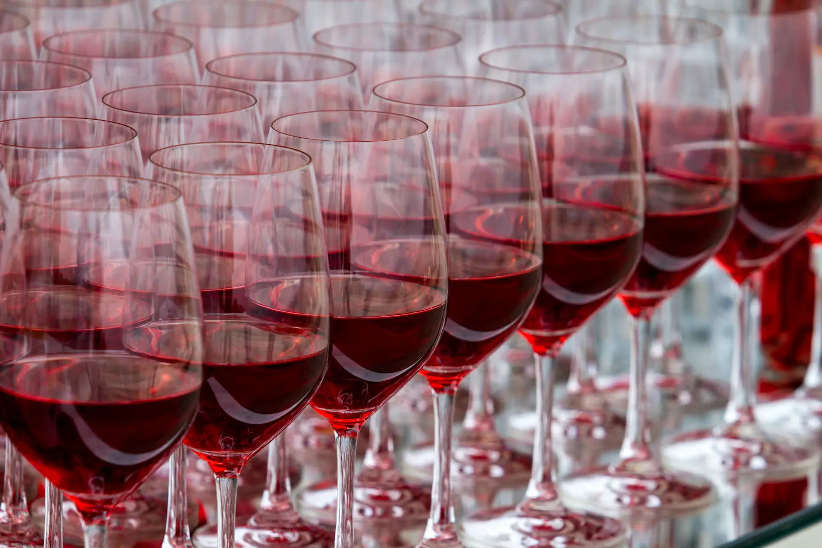 Merlot vs Malbec: How to Choose Between Two Popular Reds