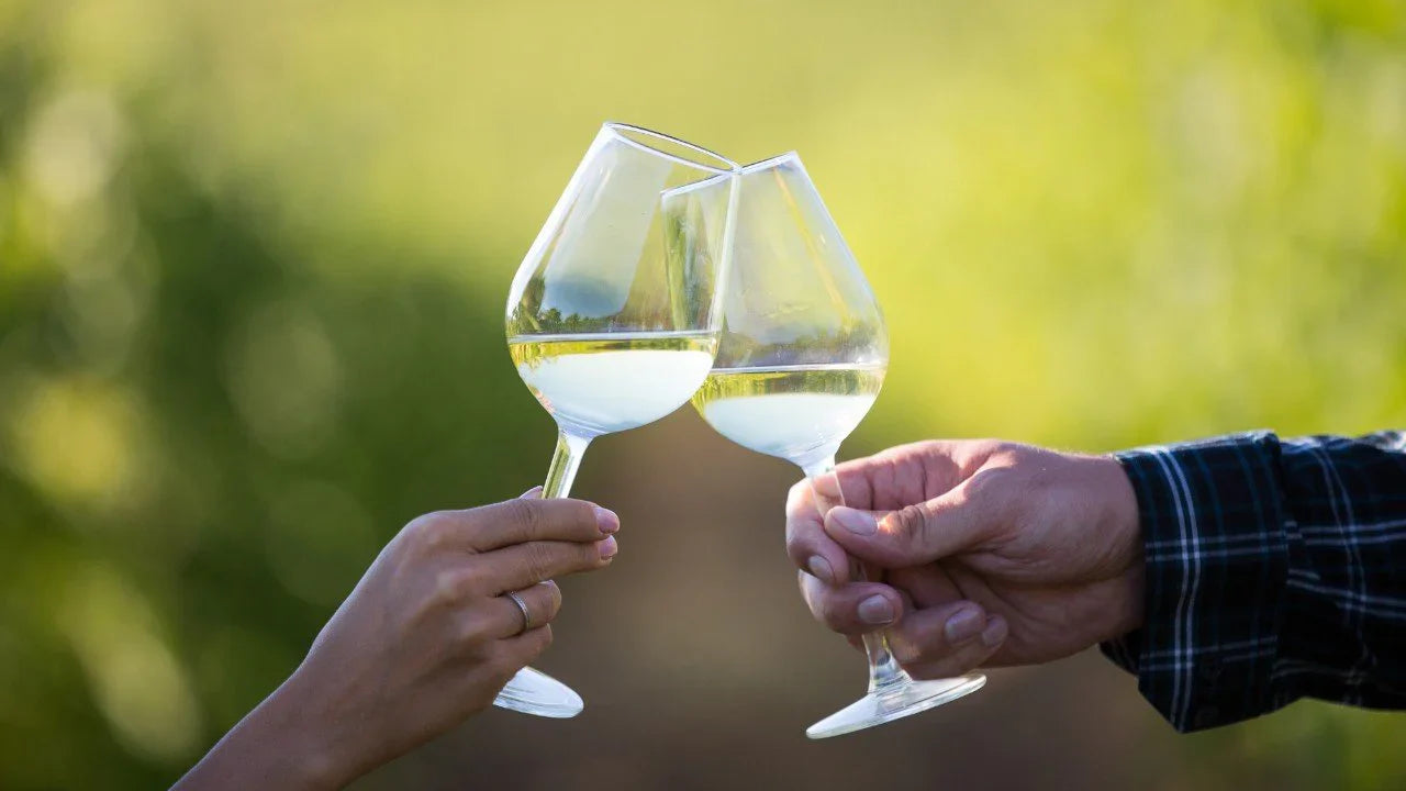 How To Hold A Wine Glass