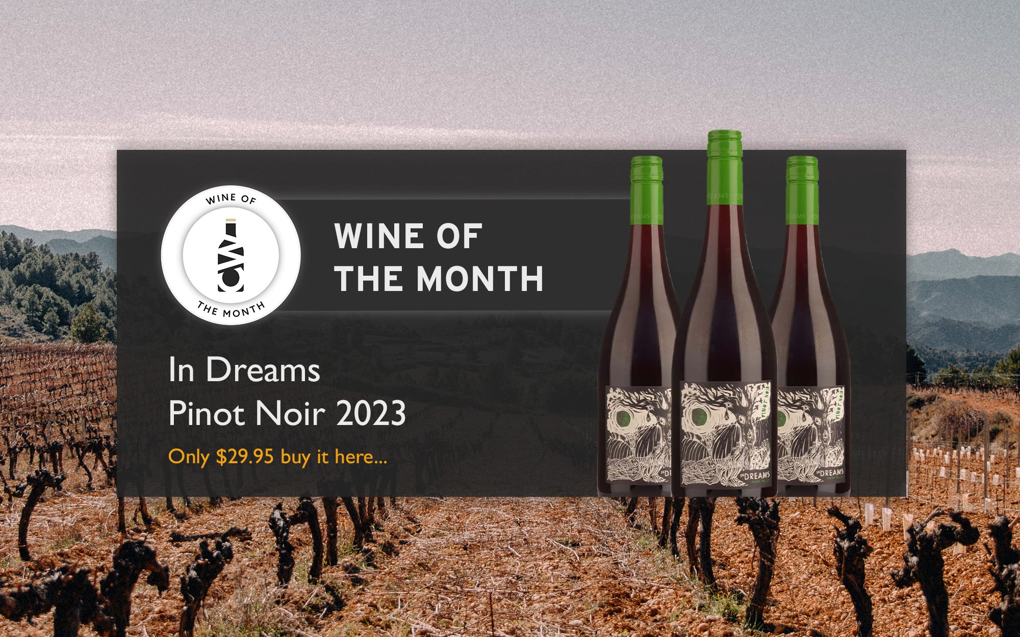 Wine of the Month In Dreams Pinot Noir 2023