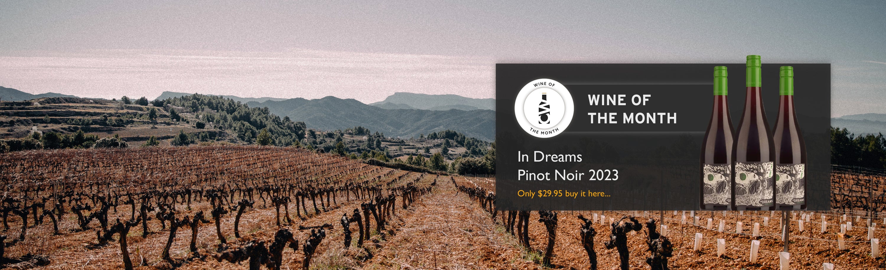Wine of the Month In Dreams Pinot Noir 2023