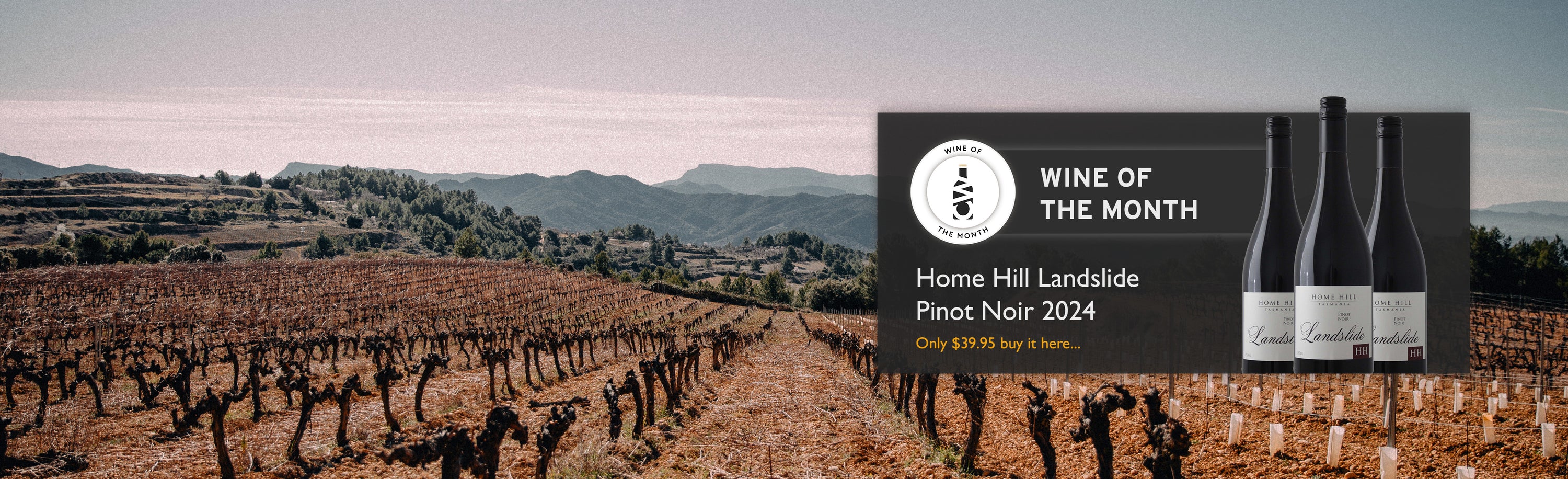 Wine of the Month Home Hill Landslide Pinot Noir 2024
