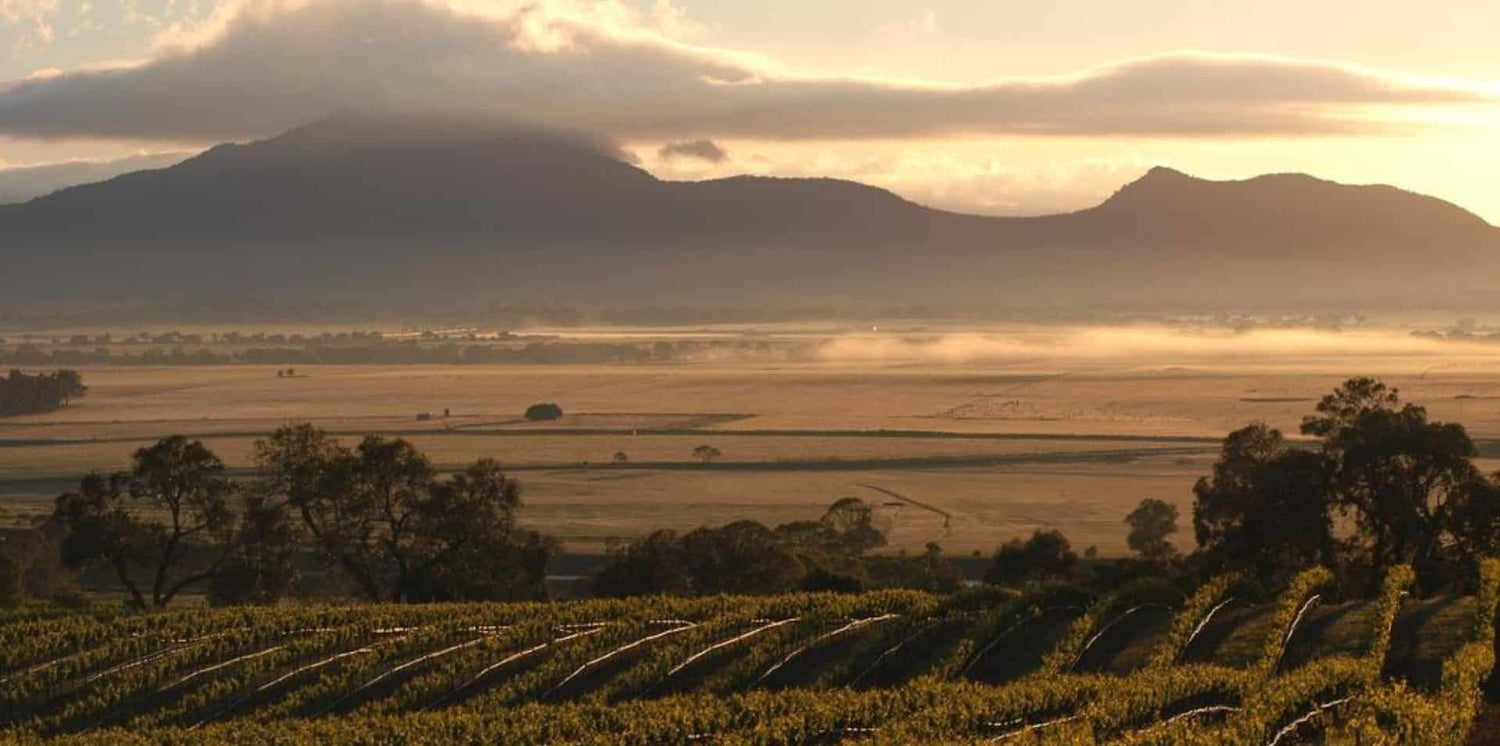 Exploring Victorian Pinot Noir: Regional Expressions & Key Differences
