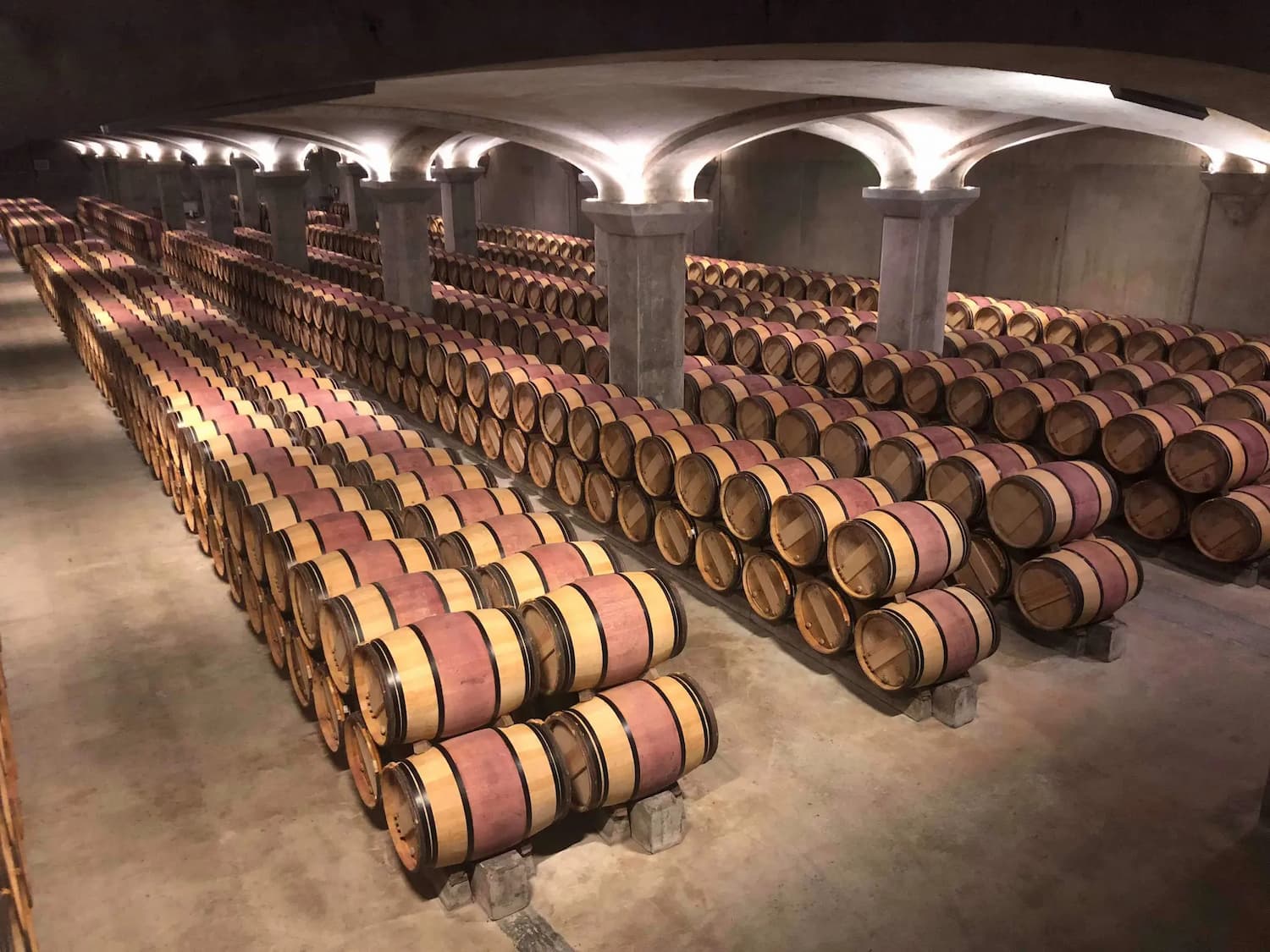 Wine Fermentation Explained