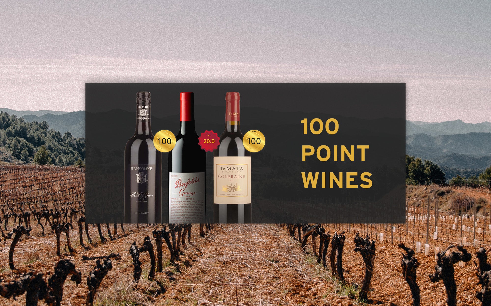 100 Point Wines