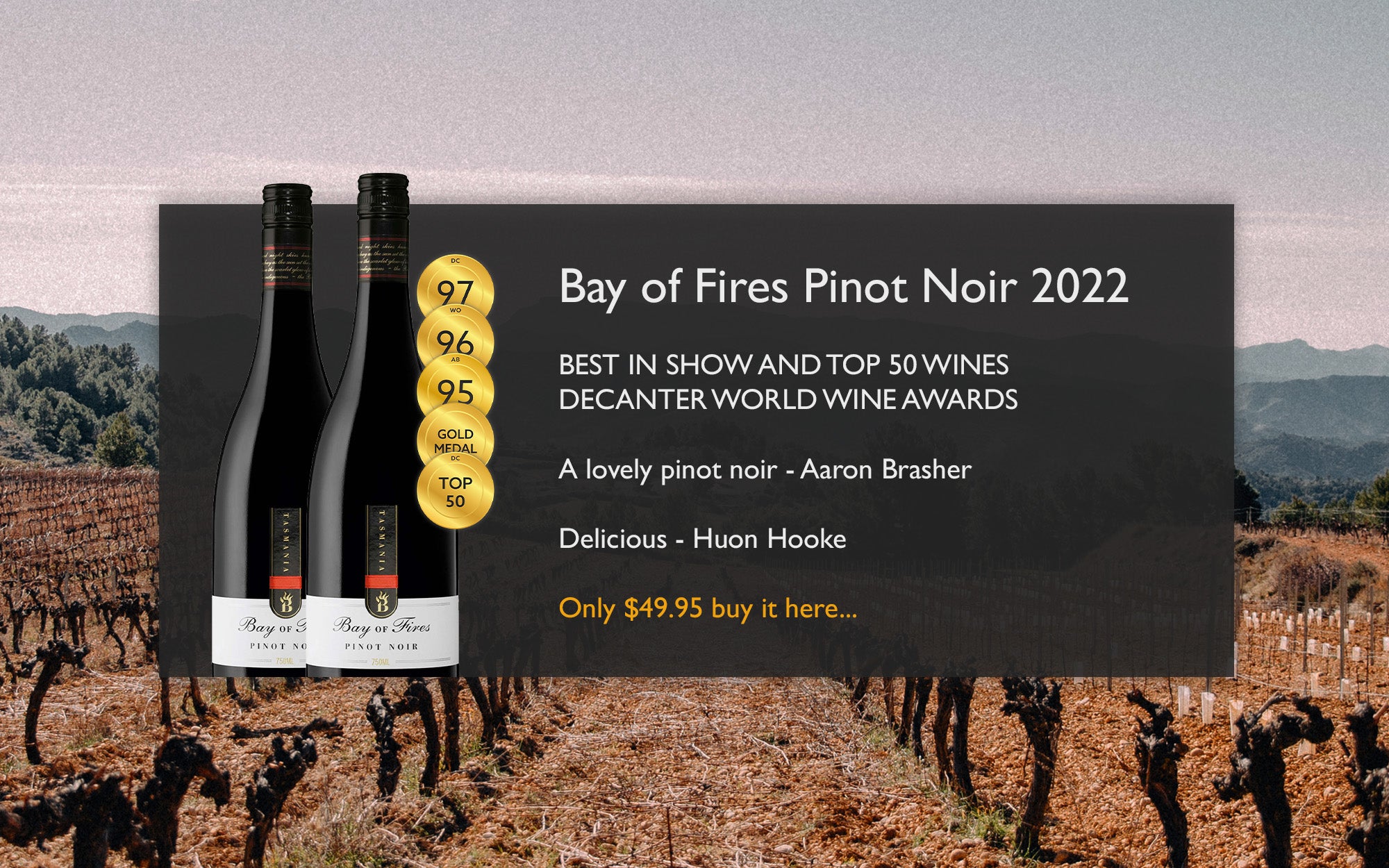 Bay of Fires Pinot Noir 2022