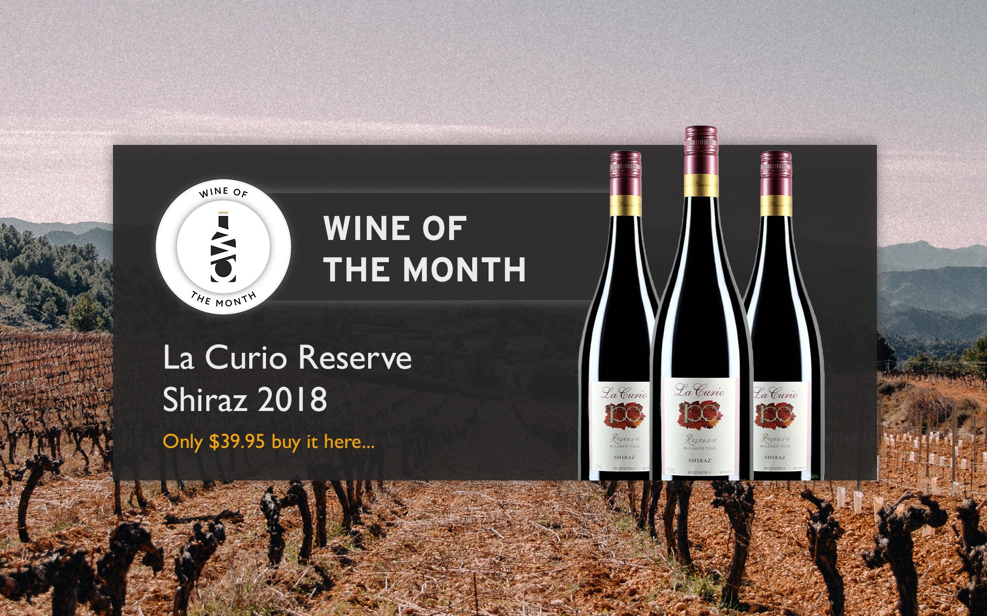 Wine of the month